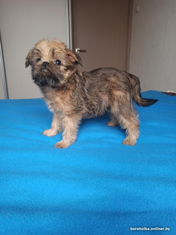 5. Подписывайте договор