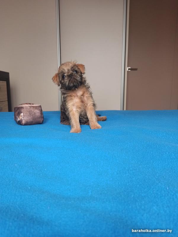 2. Посетите разные питомники