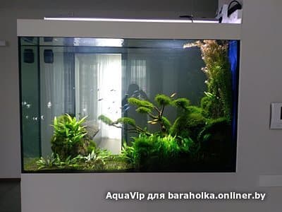 2f57b0de751e06527b20fb04bd705bf6.jpeg