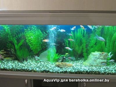 bda28697c30343e0b52a8f68cd8d30bb.jpeg