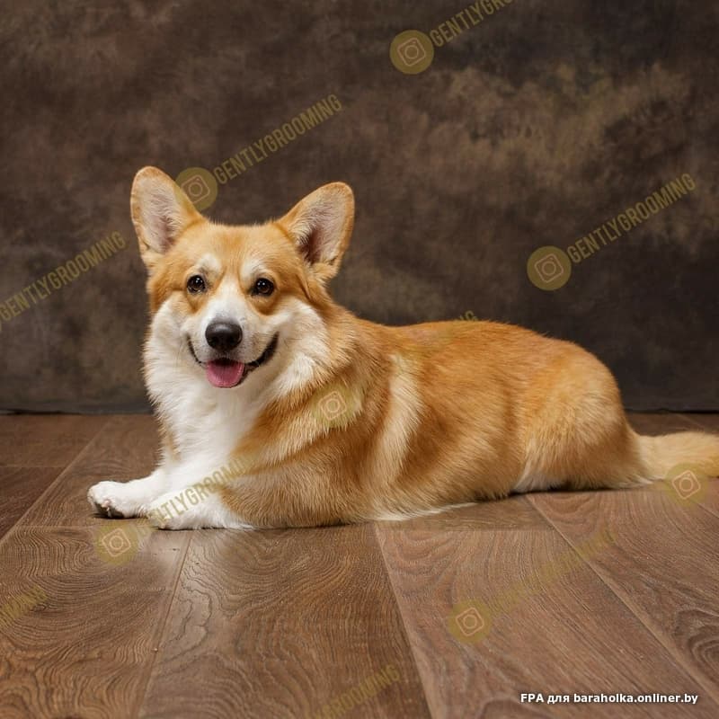 2d1c5bcfbb5346a4b5884ba8e7fbbb07.jpeg