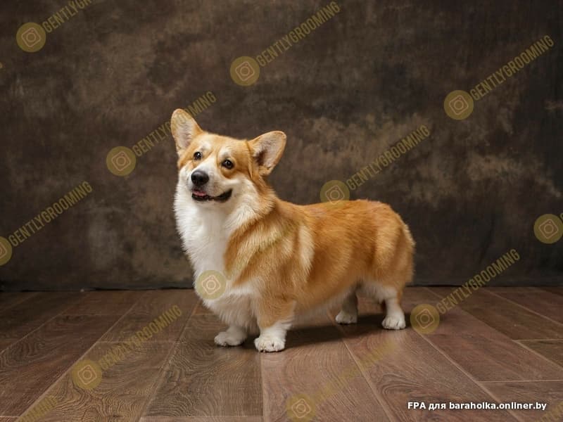 e040f064f58be98f5803522bee425e82.jpeg