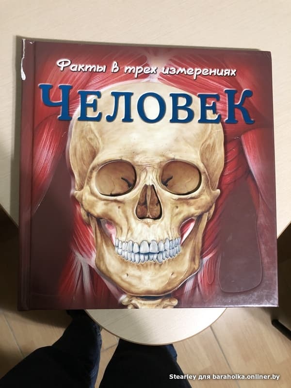 a1cb12608ad2d588997e6c645e18cd45.jpeg