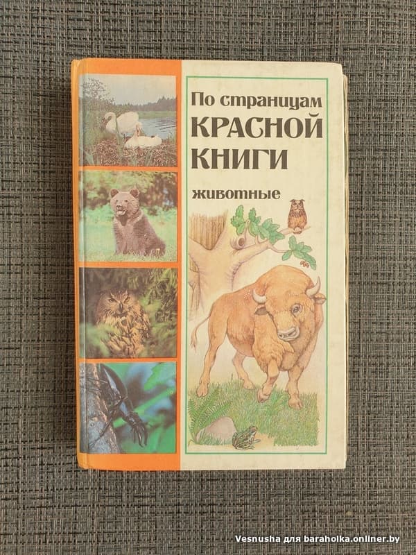d537e831b00874abf19ac20a5b7f06e0.jpeg