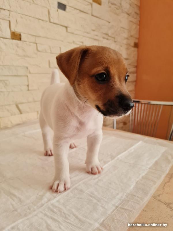 Что означает