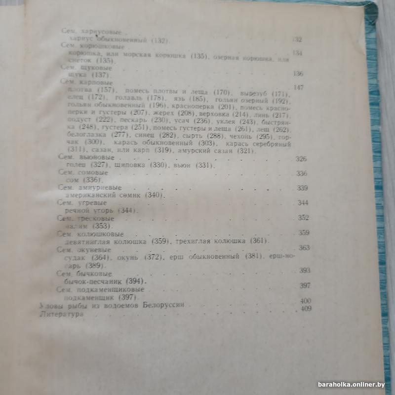 3169de693530d7b8b96a7d062ebb24ed.jpg