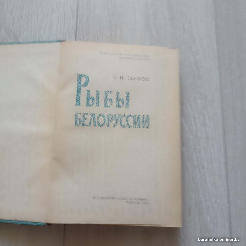 364e1785b601db7c3ab262d8c9af65af.jpg