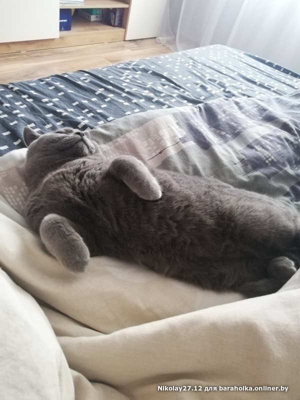396217b0bed1beb4b5afd79d11b54d90.jpeg