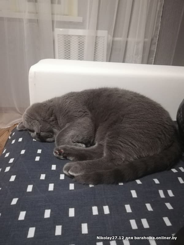 d5288bdafe00bdb867eccf299972864a.jpeg