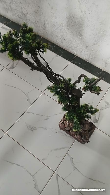 8fe312325582ee08a49c28cacdeb85cd.jpg