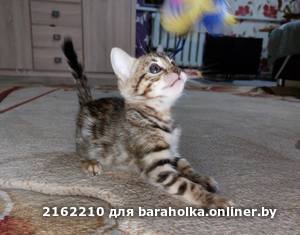 aa527930f8160438f0084275e63ff80f.jpeg