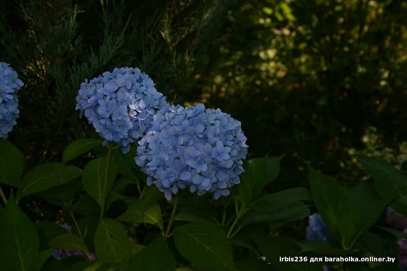 87f6dce5163f393401e78f4dca9cc184.jpeg