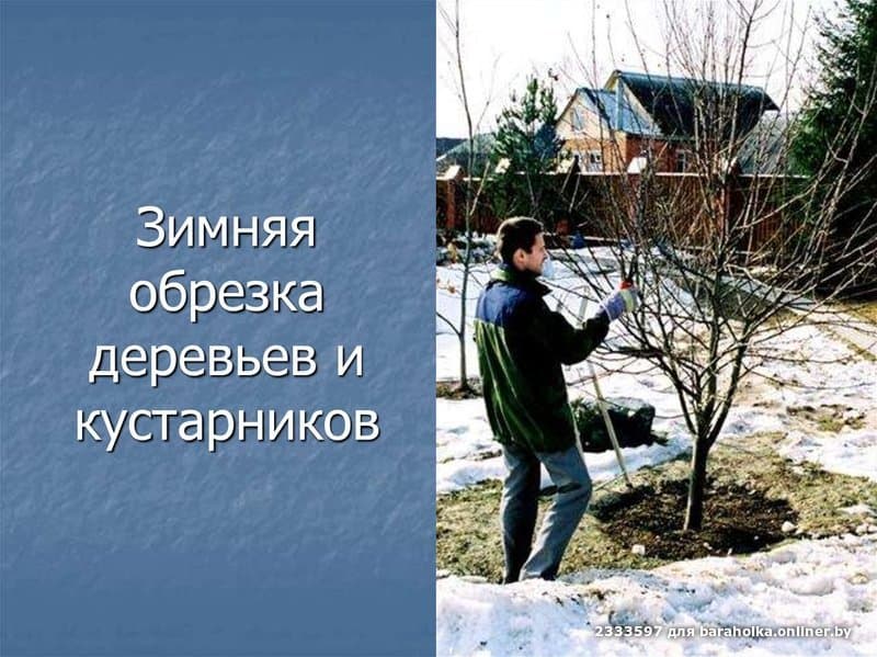 5a66a610daa60c102f95268d94cf5273.jpeg