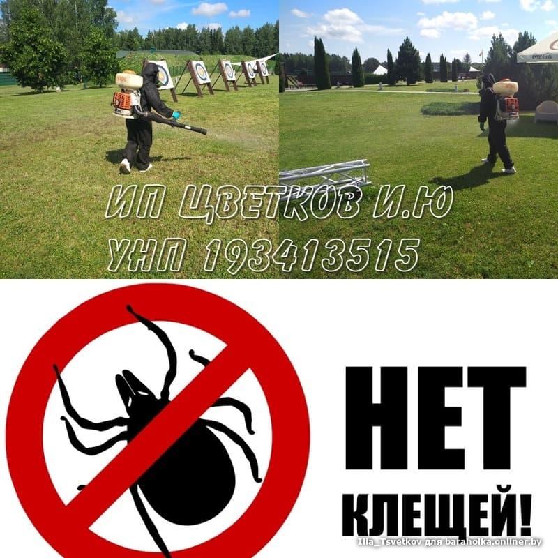 d637133c5526c1f47a79fadcf9d7e996.jpeg