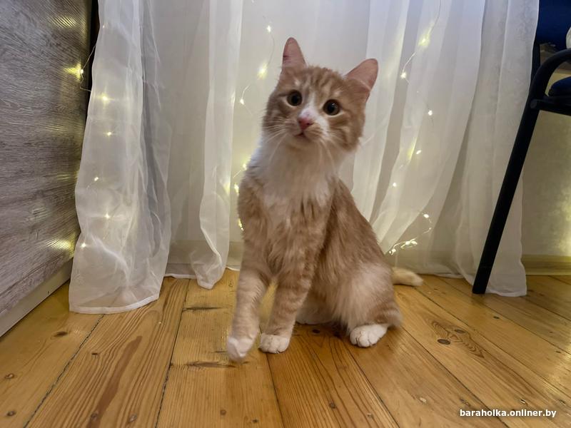 Как понять по глазаи что человек врё. Цитаты про замену. Хочешь узнать человека послушай что он говорит. Как быстро узнать человека. Психология отношений цитаты.