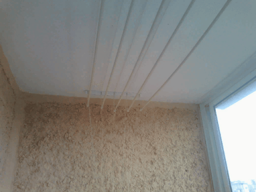 f559c987c013286541d7f975fb670a35.gif
