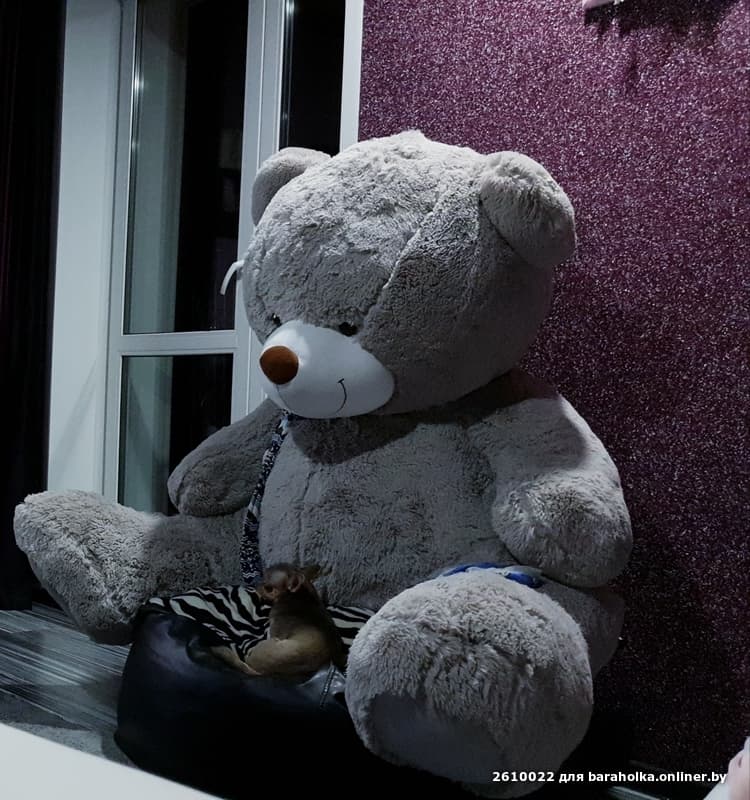 cbdad028182c83edc861fa93c2726737.jpeg