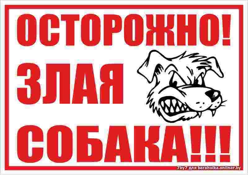 Картинка с надписью осторожно злая собака