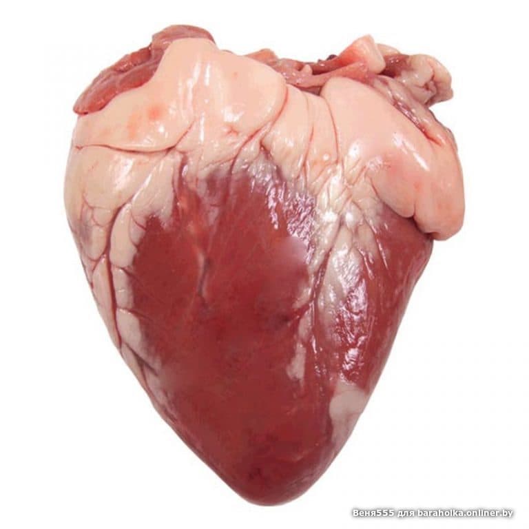 Куплю Пенис И Яйца