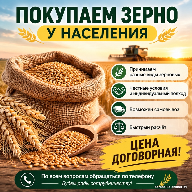 ceb2e7e8974ea97ca72b74e02927120f.png