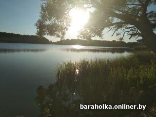 6191328eac9955f3d372b3e3166db988.jpg