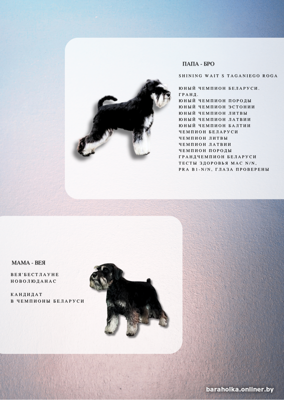 833c68e55507b2f62a4f757511983a2b.png