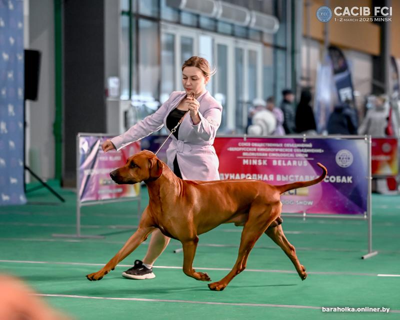 ead599c2c19517b73e160a87eaa1ef1c.jpg