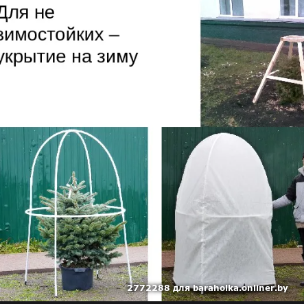 3331d07f4b3b083fd3778fc3dfa2d438.png