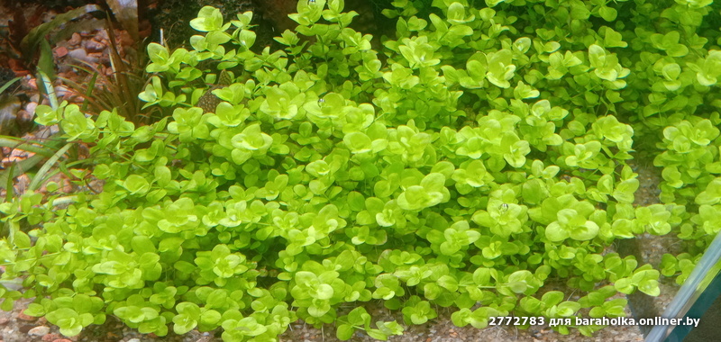 0fb0d28c0c2608d2a0457748316d9a87.jpeg