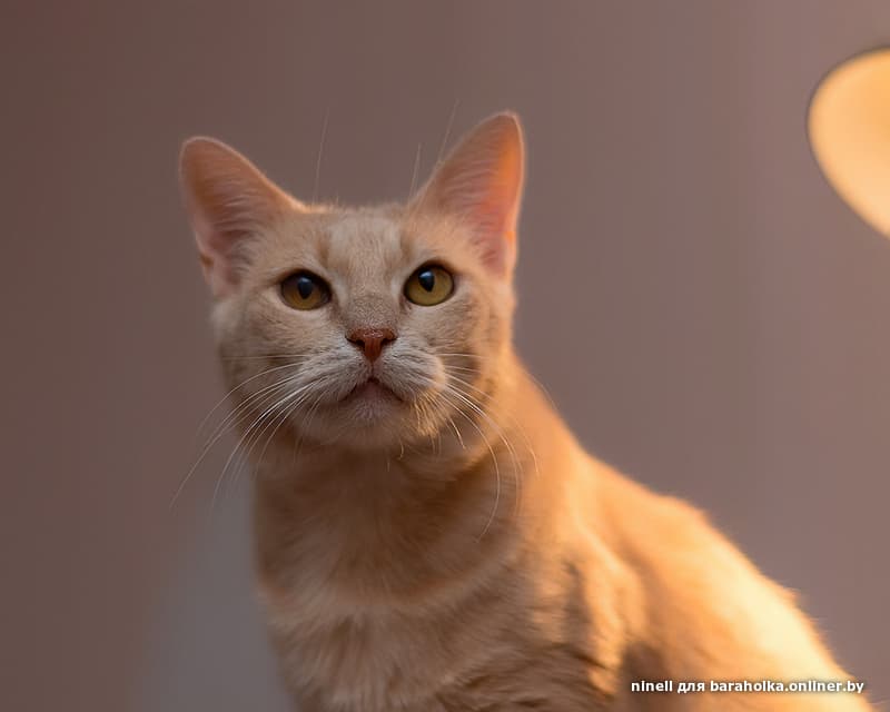 cbfa86250383c03a5decddb1e78647a6.jpeg