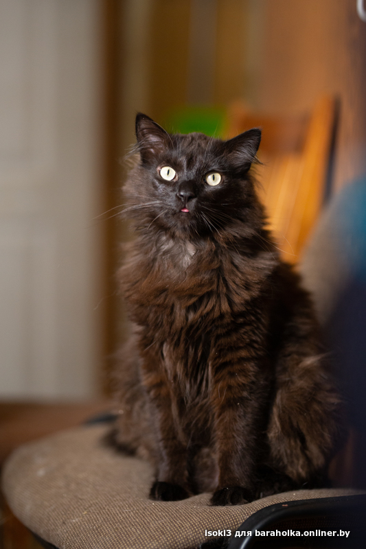 73f963749c991b23e88ccd24f7b0581b.jpeg