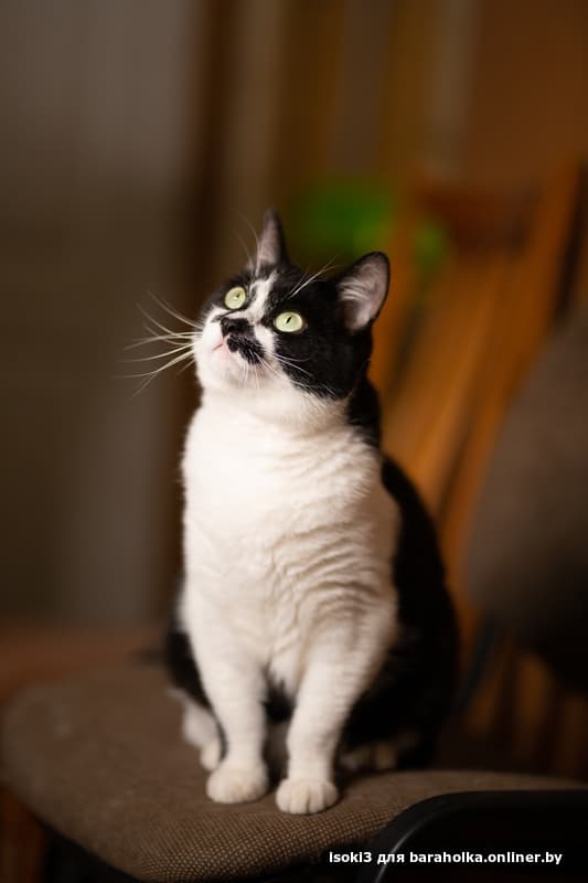 a7d867e1857bf8f0f2fa7c4f274c2a59.jpeg