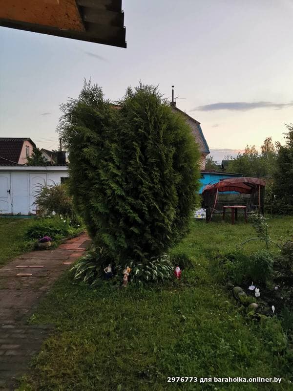 d4e029900c032d05366b63183b1e222a.jpeg