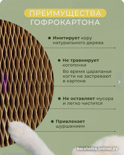 3518d37b8eec2f0abab9f11818571801.png
