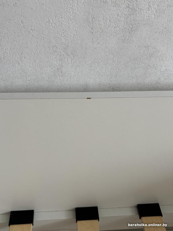 fd44dd72ca4ad85c54ba92cca37e9337.jpg