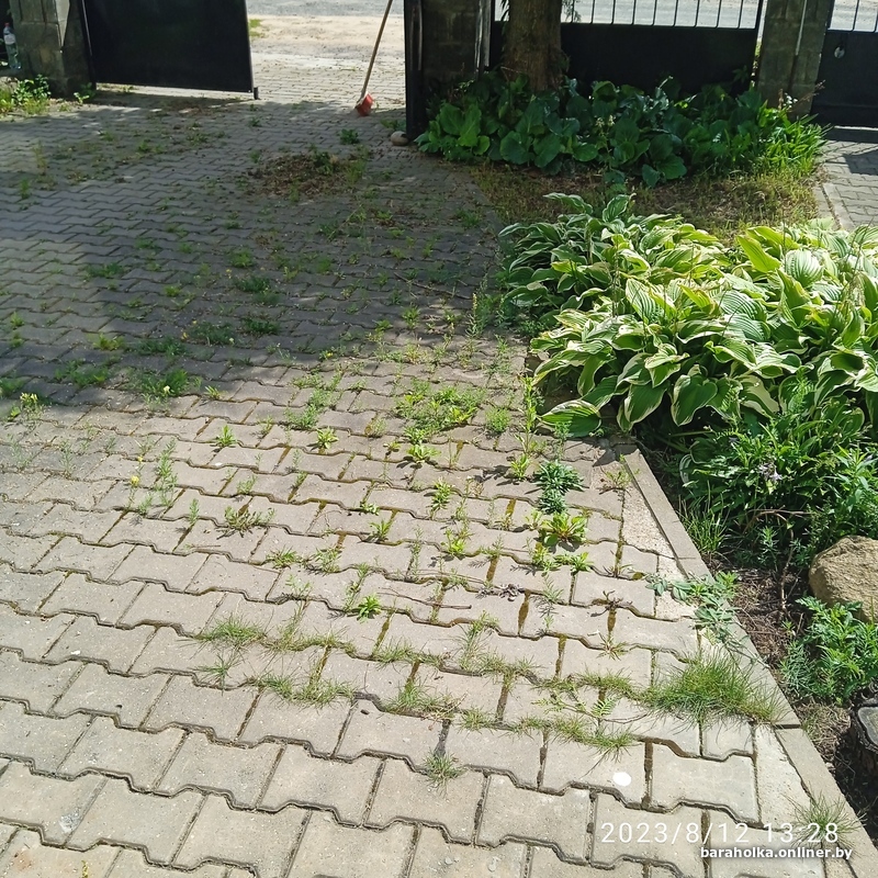 10721be8f987948d8d6d124d23a1efce.jpeg