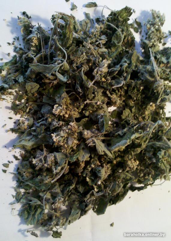 19e63f7cad72b3859e6b562056692fda.jpg