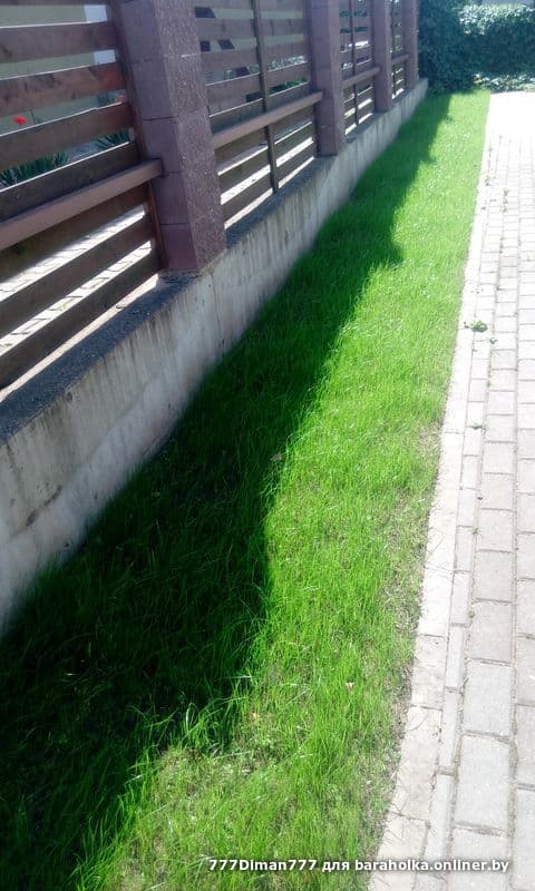 284b3f4266e1ac6cc956ad18d90ed23a.jpeg