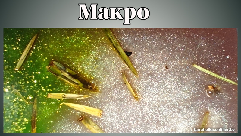 7c1271e517291f7559e5cc018ed14f6f.png