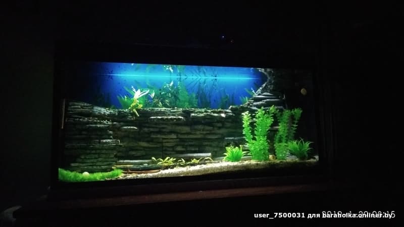 7b9abf9e7331f32ffbb355a636735bca.jpeg