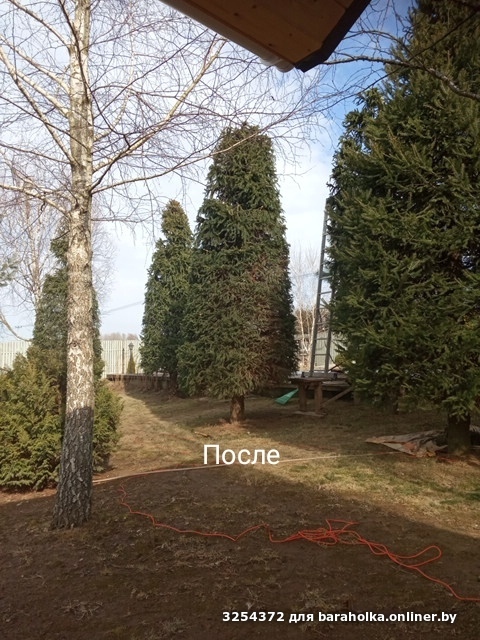 c6cc52c3afd1f1035fa39311cbd96479.jpeg