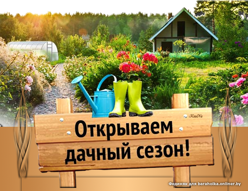 763de50688f2fa3f1f7ffb848717659d.png
