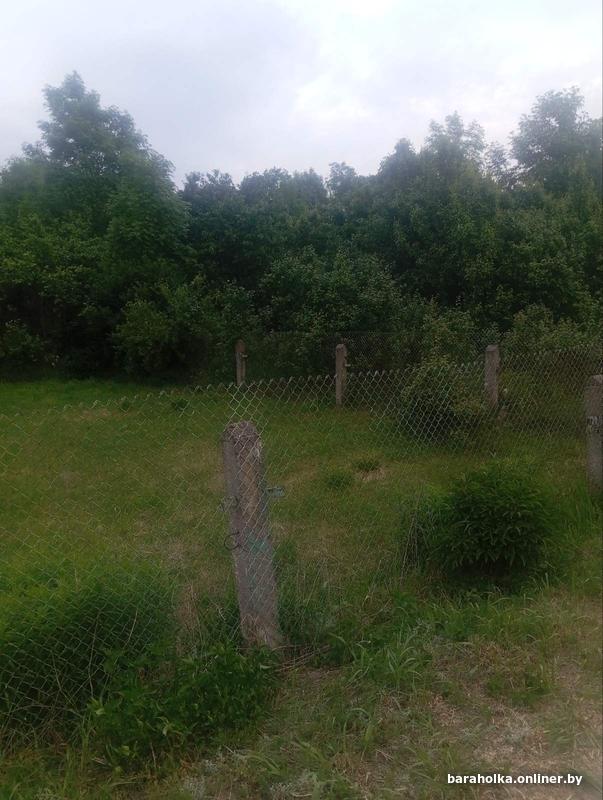 d338dd7f03a6241b258c6f3d15ba39a1.jpg