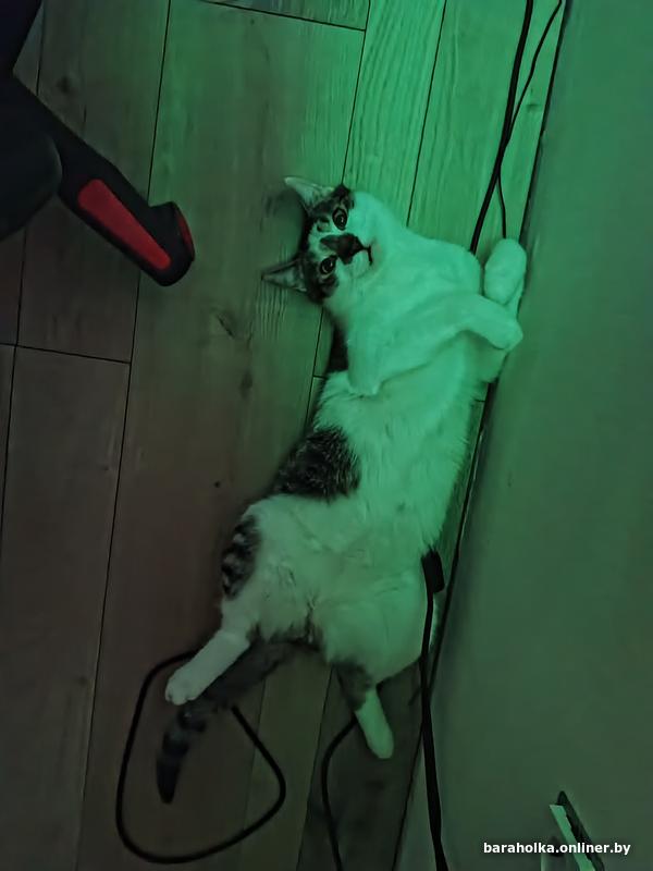 0d1b9f62f591041d1463d97353fe6e4e.jpg