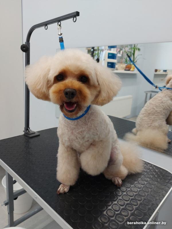 Возраст и порядок кормления