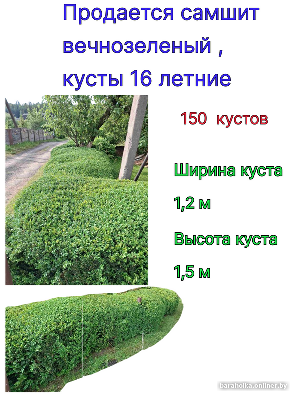 02ad056311a3c5902579a5265f97ae67.png