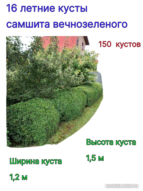 789b18387756f30596c2d2734bc0b961.png