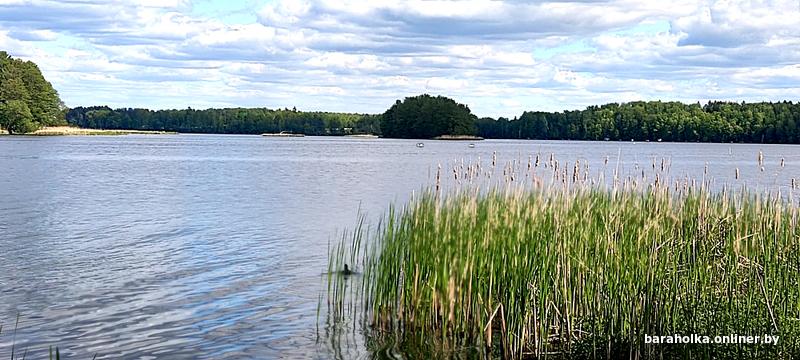 90cad52a9dbfe30e8e1fd3d978221ba9.jpg