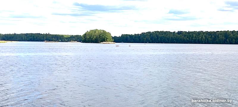 f0056b3072d9befcf5ea0eb8c5bf5978.jpg