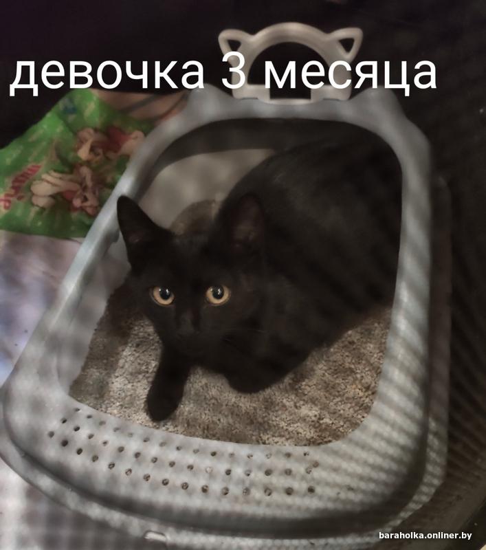 8ff769d9f99dd8c590ee703bc6f1bf03.jpg